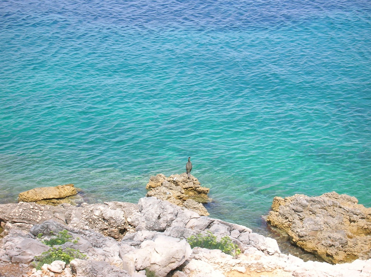 Dieses Meer ist etwas ganz Besonderes…